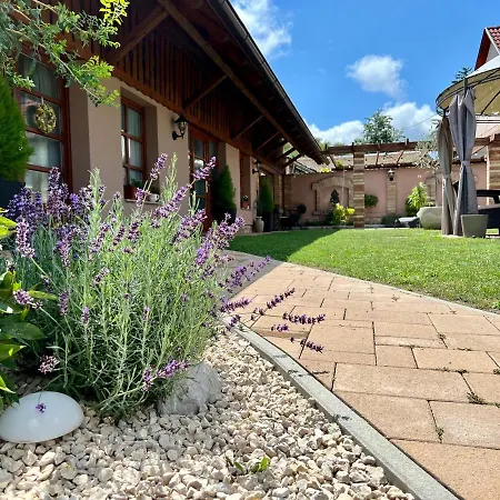 Tulipan Vendeghaz Gasthuis