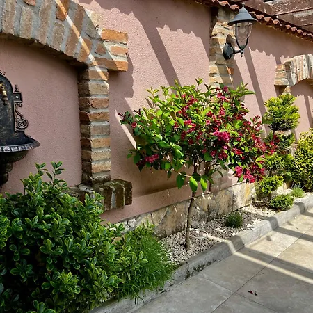 Tulipan Vendeghaz Guest house *