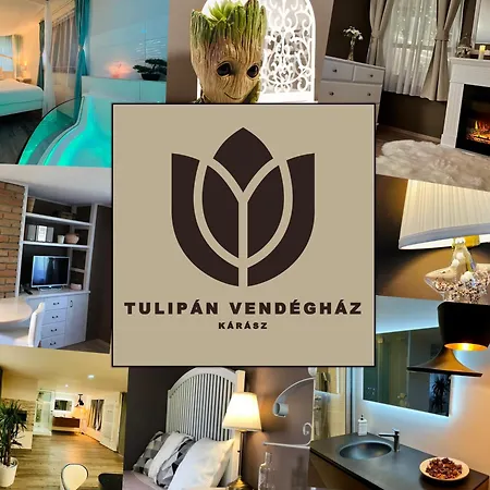 Tulipan Vendeghaz Πανσιόν Karasz