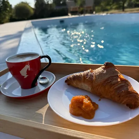 Tulipan Vendeghaz Karasz