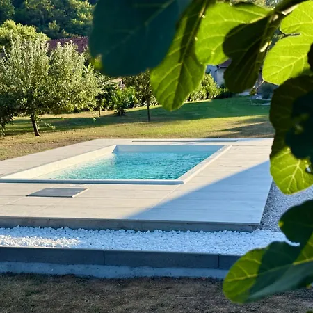 Tulipan Vendeghaz