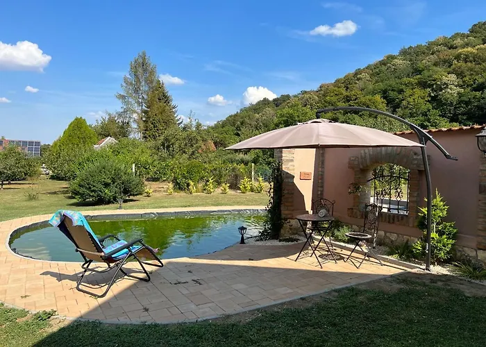 Guest house Tulipan Vendeghaz 4*